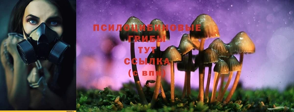 круглые Зеленокумск