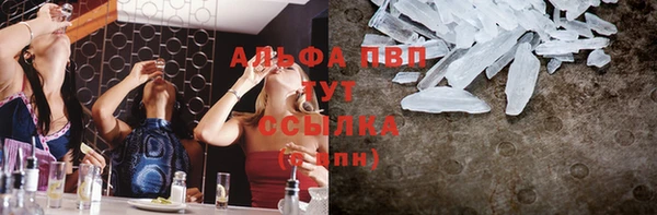 стаф Иннополис