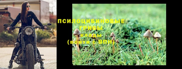 бутират Зеленодольск