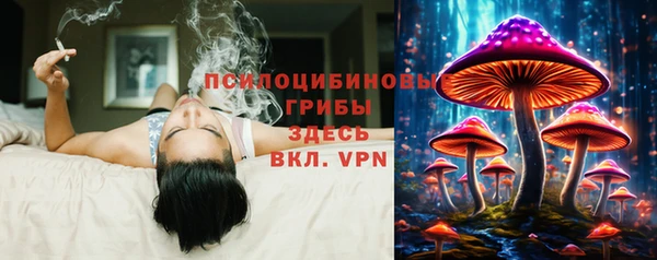 круглые Зеленокумск