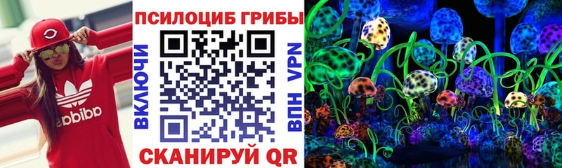 Псилоцибиновые грибы Psilocybine cubensis Киренск