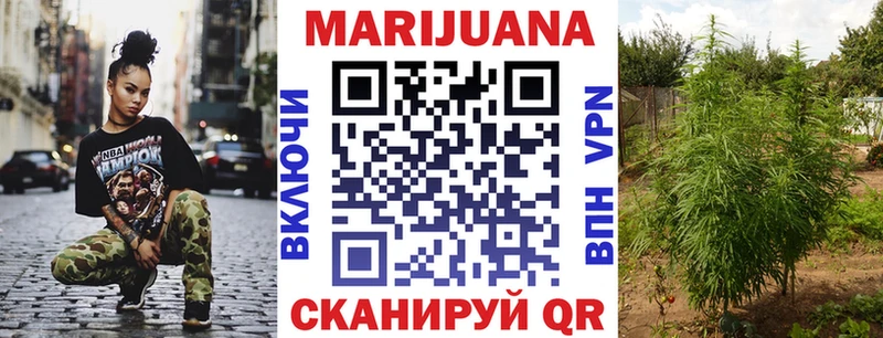 Шишки марихуана Amnesia Киренск